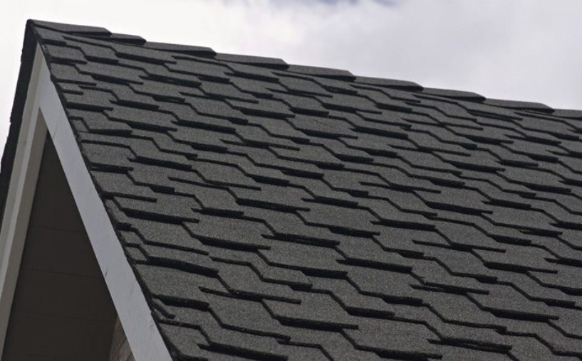 Presidential Shingles project example